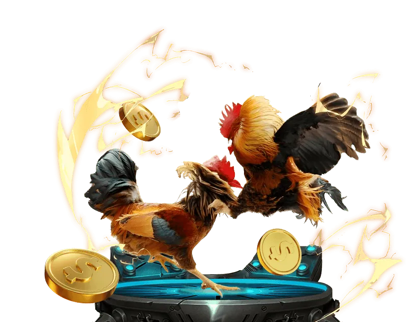 Giao diện đặt cược đá gà trực tuyến